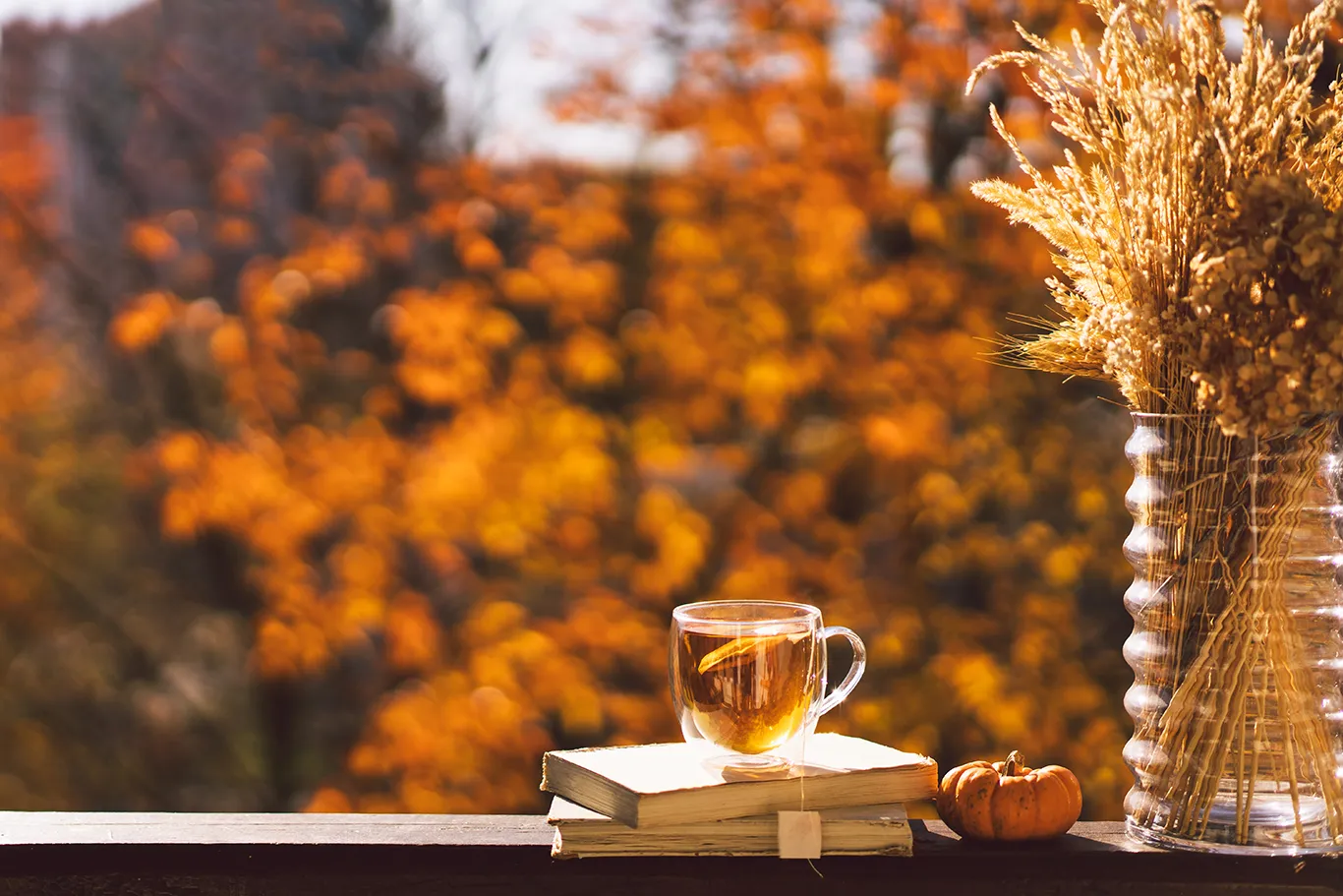 Wärmeschutz und Dämmung im Herbst