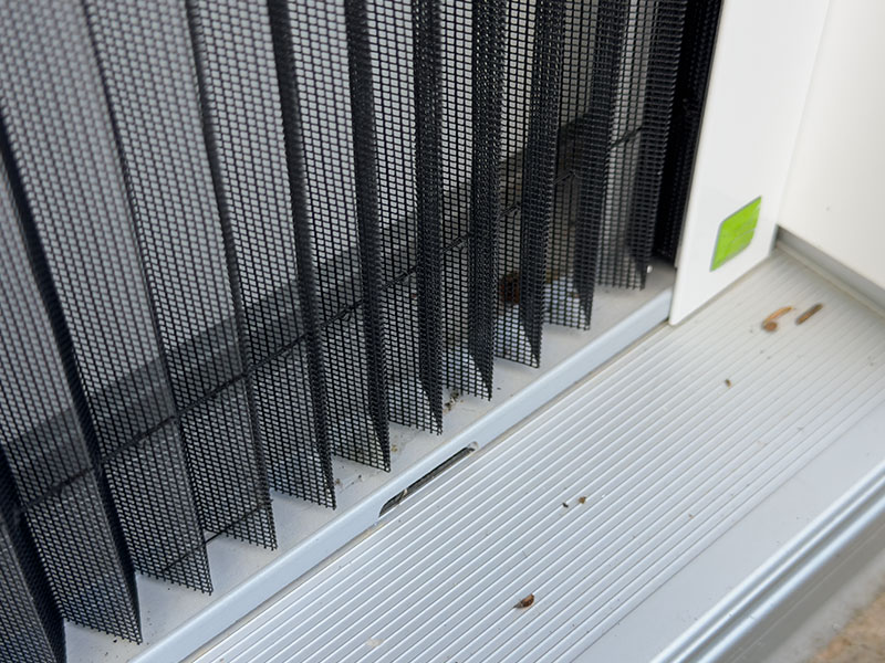 Insektenschutz-Plissee von SBB Schäfer
